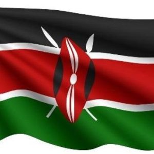 كينيا – الكترونية – 90 يوم