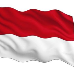 اندنوسيا بالي – الكترونية – 60 يوم