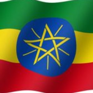 اثيوبيا – الكترونية – 30 يوم