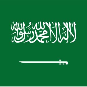 السعودية – متعددة الدخول