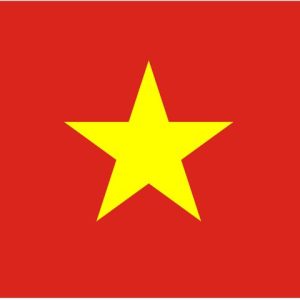 فيتنام – الكترونية – 30 يوم