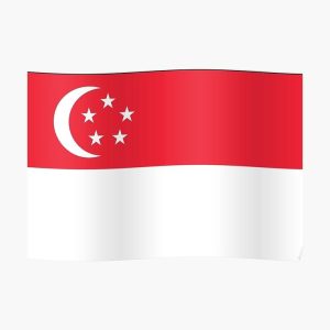 سنغافورة – الكترونية – 30 يوم